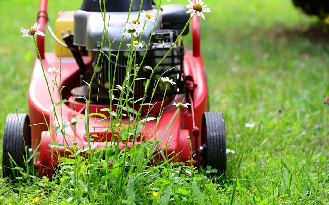 Importance of Regular Lawn Maintenance: A Healthy, Beautiful Yard