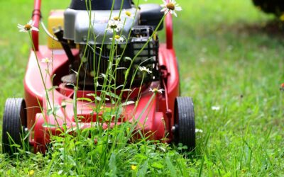 Importance of Regular Lawn Maintenance: A Healthy, Beautiful Yard
