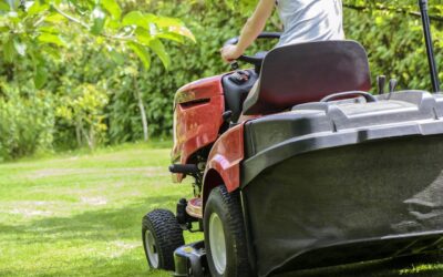 Seasonal Lawn Care Calendar: A Year-Round Guide for a Lush Lawn