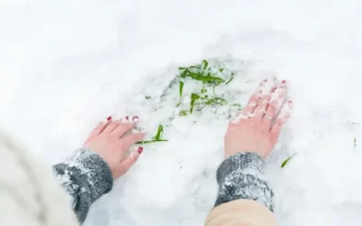 How to Clear Snow and Ice From a Driveway Without Using Salt?