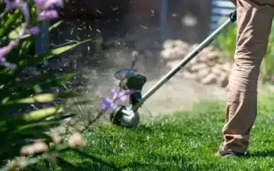 Essential Lawn Care Tools for New Homeowners in Alaska