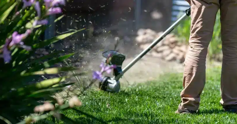 Essential Lawn Care Tools for New Homeowners