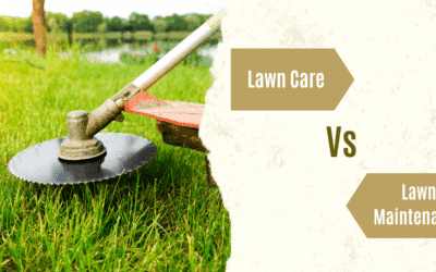 Difference Between Lawn Care and Lawn Maintenance