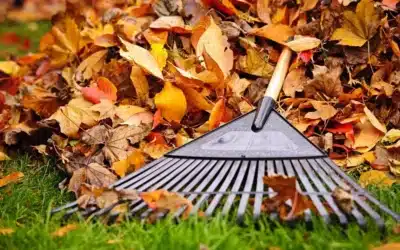 Comparing Anchorage Spring vs Fall Sweeping Needs & Methods